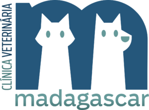 madagascar_clinica_veterinaria